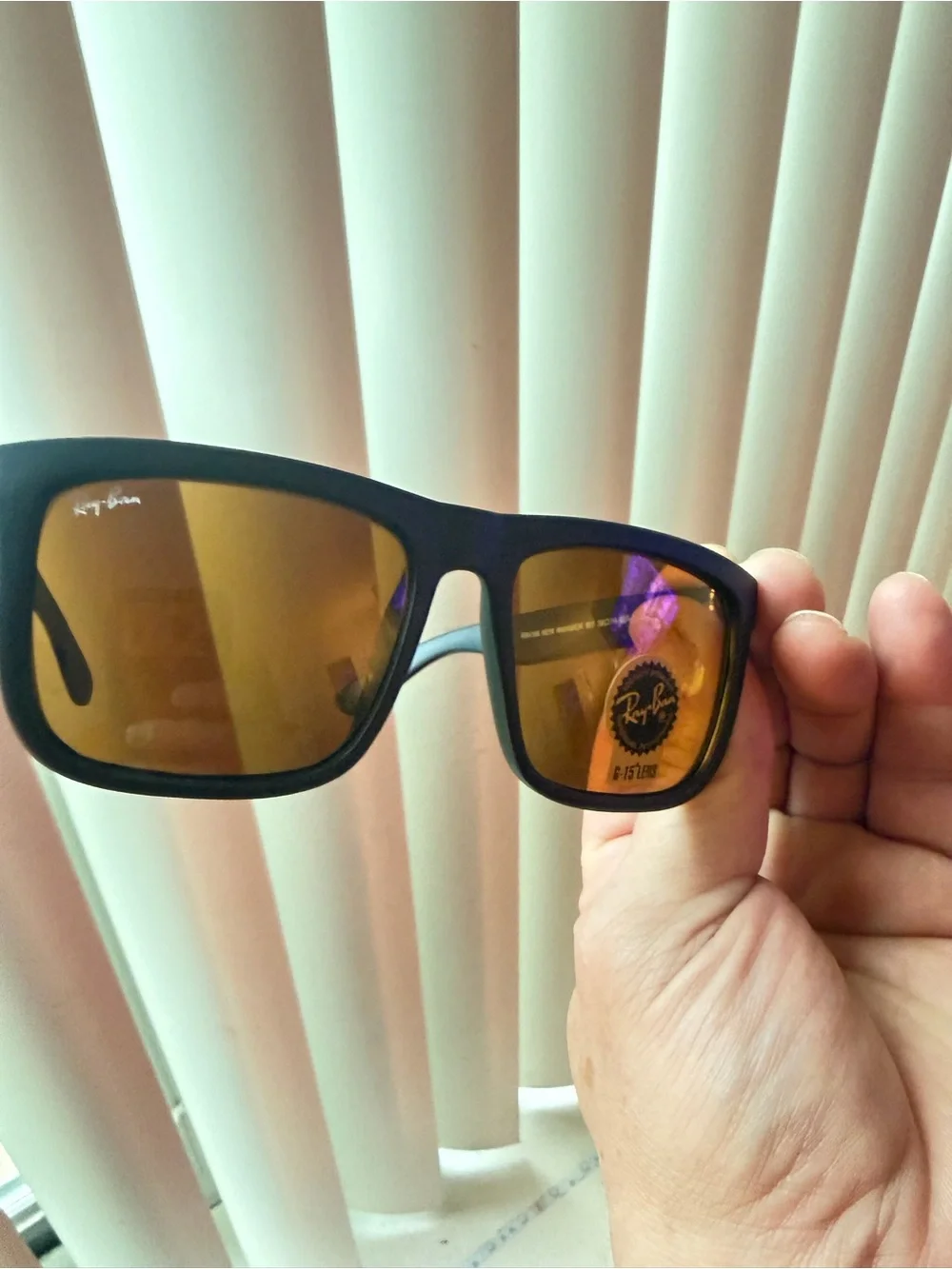 Brand new with tags Ray-Ban New Wayarer Sunglasses with snap closure case